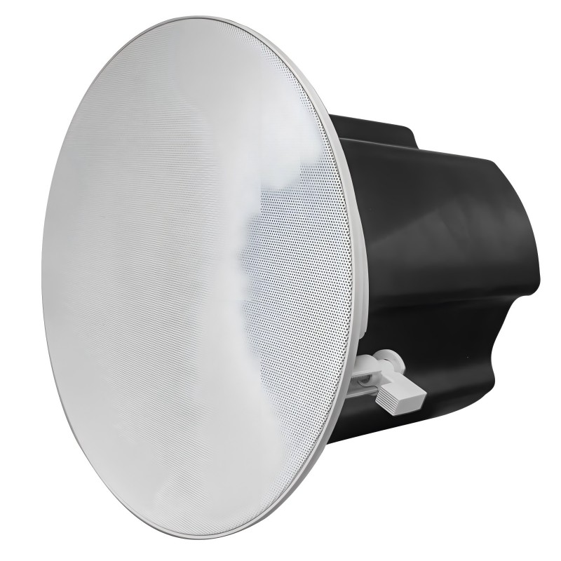 Dante Poe 6-pulgada Aktibong kisame loudspeaker
